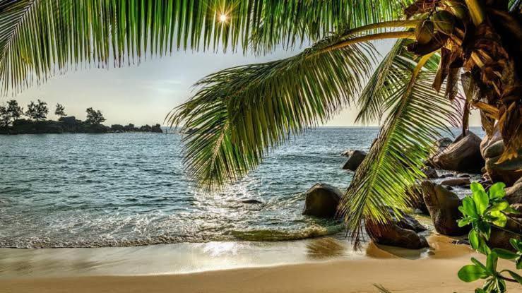 Baga Beach Prime Екстер'єр фото
